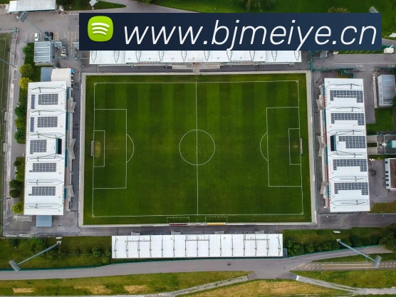 世界杯官方入口平台生态图